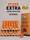 Pack 2 bandejas huevo extra color
